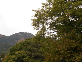 DSCN1182