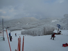 DSCN8678