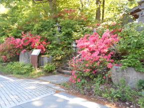 DSCN0632