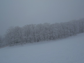 DSCN0418