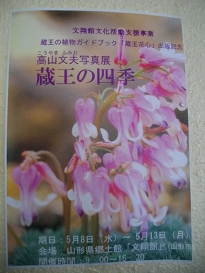 IMGP0050