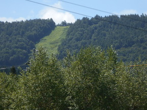 DSCN1000