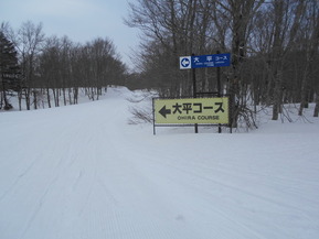 DSCN3449