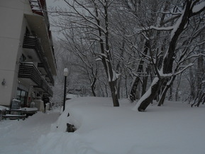 DSCN0424
