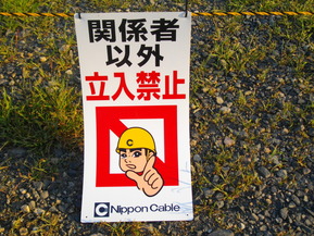 IMGP6442