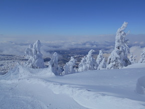 DSCN0220