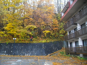 IMGP7051