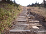 e57815e4.JPG