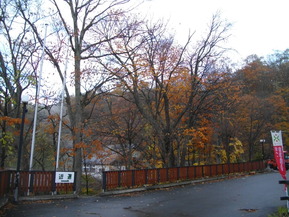 IMGP7123