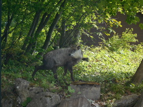 DSCN1956