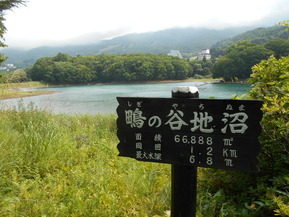 2cd2daae-s