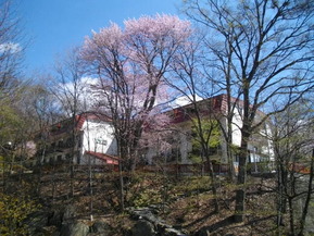 IMGP0474