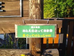 IMGP6729