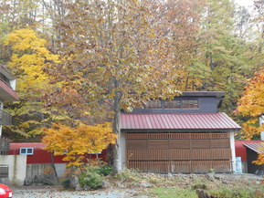 DSCN2113