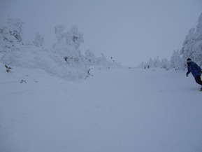 DSCN8734