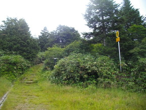 IMGP6213