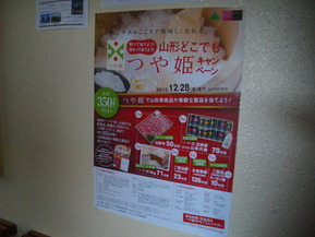 IMGP6806