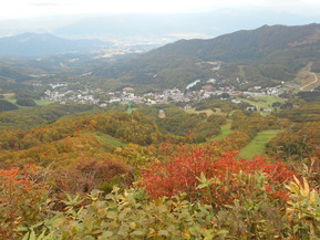 DSCN3165