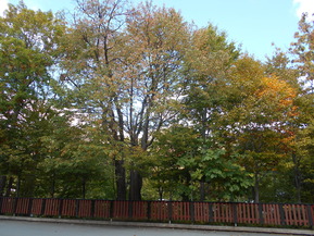 DSCN1252