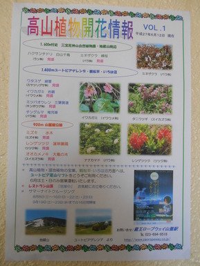 DSCN2353