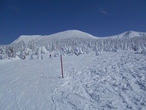 DSCN1361