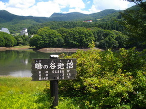 IMGP6423