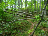 f9bc3171.jpg