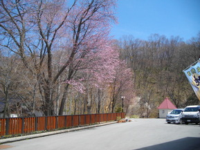IMGP0427