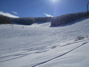 DSCN2572