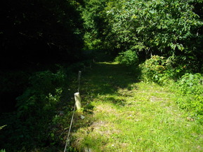 IMGP1917