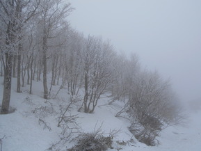 DSCN1729