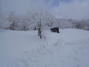 DSCN1108