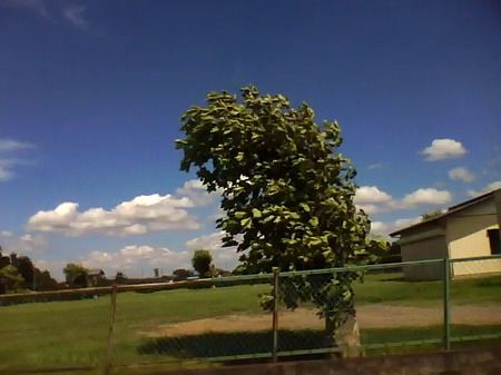 写真4