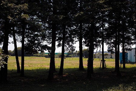 東峰3