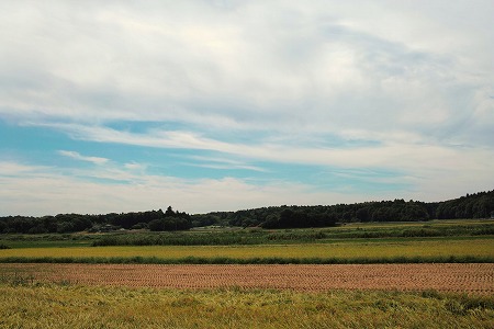 SDIM0194