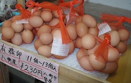 千城直売所4