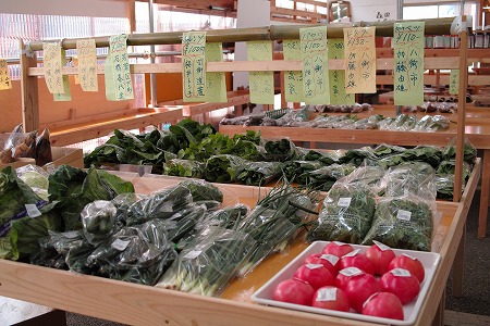 直売所2