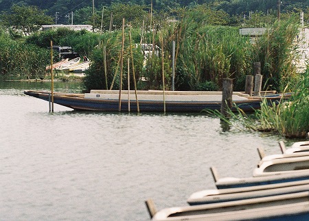 印旛沼