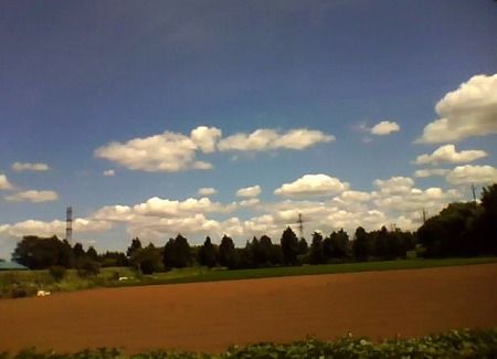 写真11