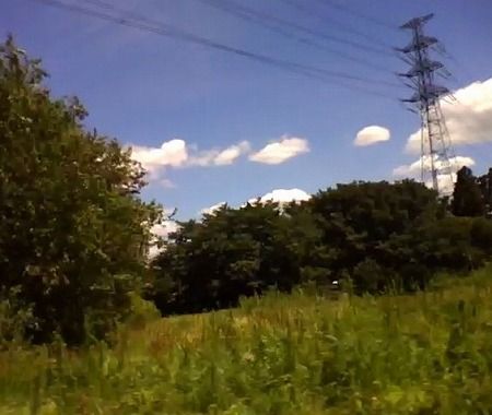 写真12