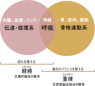 古典的鍼灸と古武術鍼法の共通点と違い