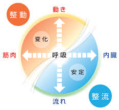 整動と整流