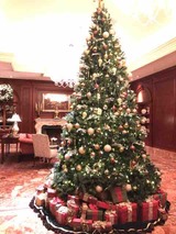 IMG_1680