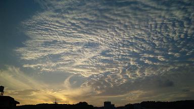 web_sky101