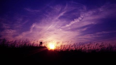 web_sky105
