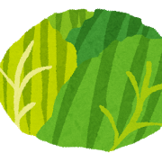 kyabetsu_cabbage