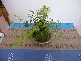 ko06012
