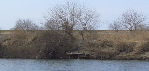 20070204003