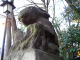 usagi01
