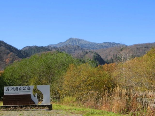 CIMG8460.jpg